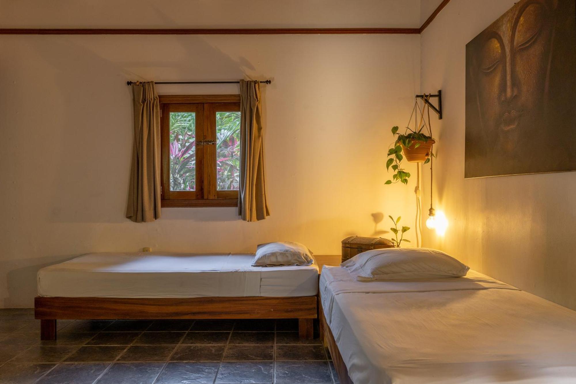 Star Mountain Jungle Lodge Malpais Bagian luar foto