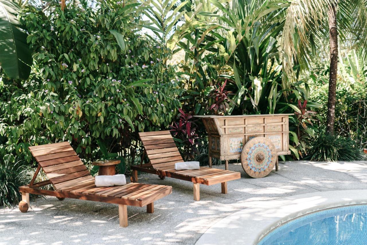 Star Mountain Jungle Lodge Malpais Bagian luar foto
