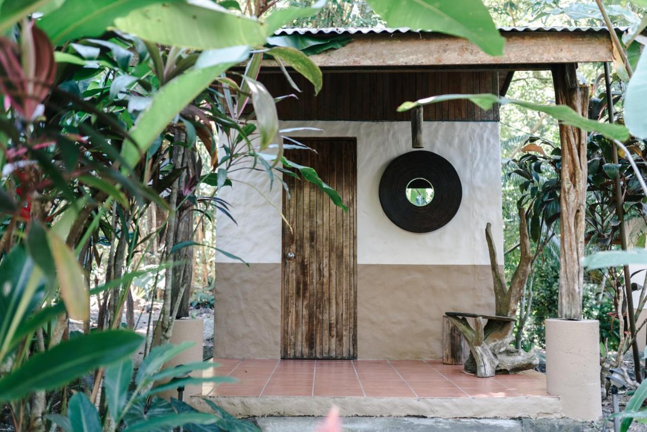 Star Mountain Jungle Lodge Malpais Bagian luar foto