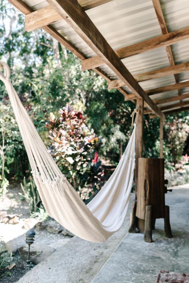Star Mountain Jungle Lodge Malpais Bagian luar foto