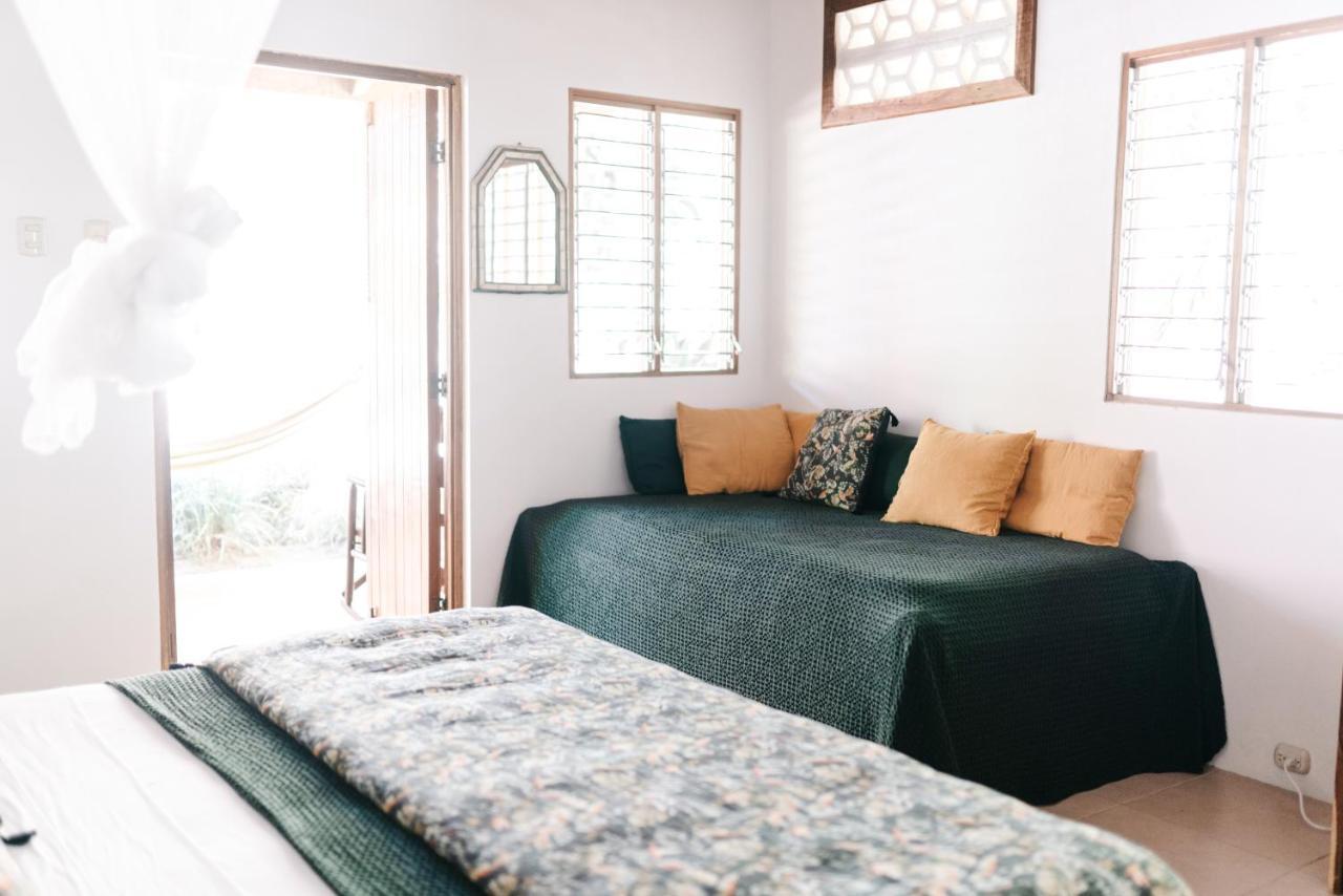 Star Mountain Jungle Lodge Malpais Bagian luar foto